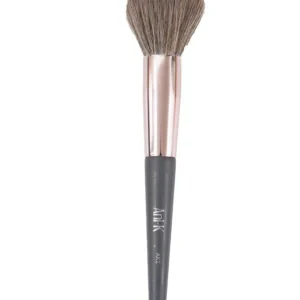 Brocha para polvo AK1 Anik